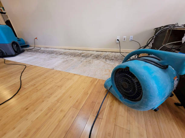 Professional Water Damage Repair technician working in Simi Valley, CA